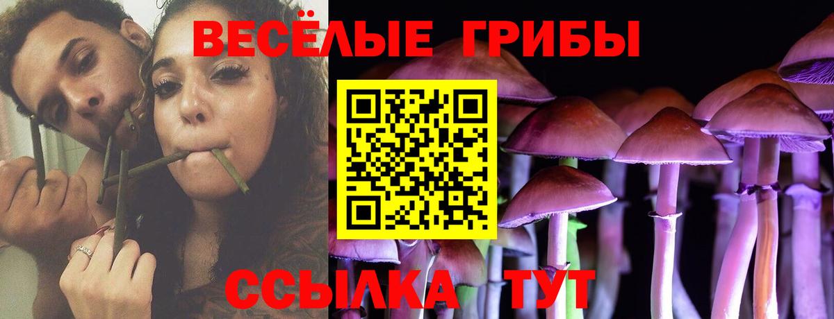 Псилоцибиновые грибы Psilocybine cubensis Азов